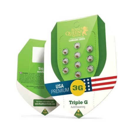 Triple G Auto semi cannabis Royal Queen Seeds