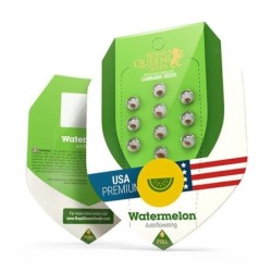 Watermelon Auto semi cannabis Royal Queen Seeds