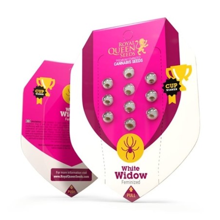 White Widow semi cannabis Royal Queen Seeds