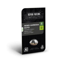 Sensi Amnesia Autofiorente semi Sensi Seeds