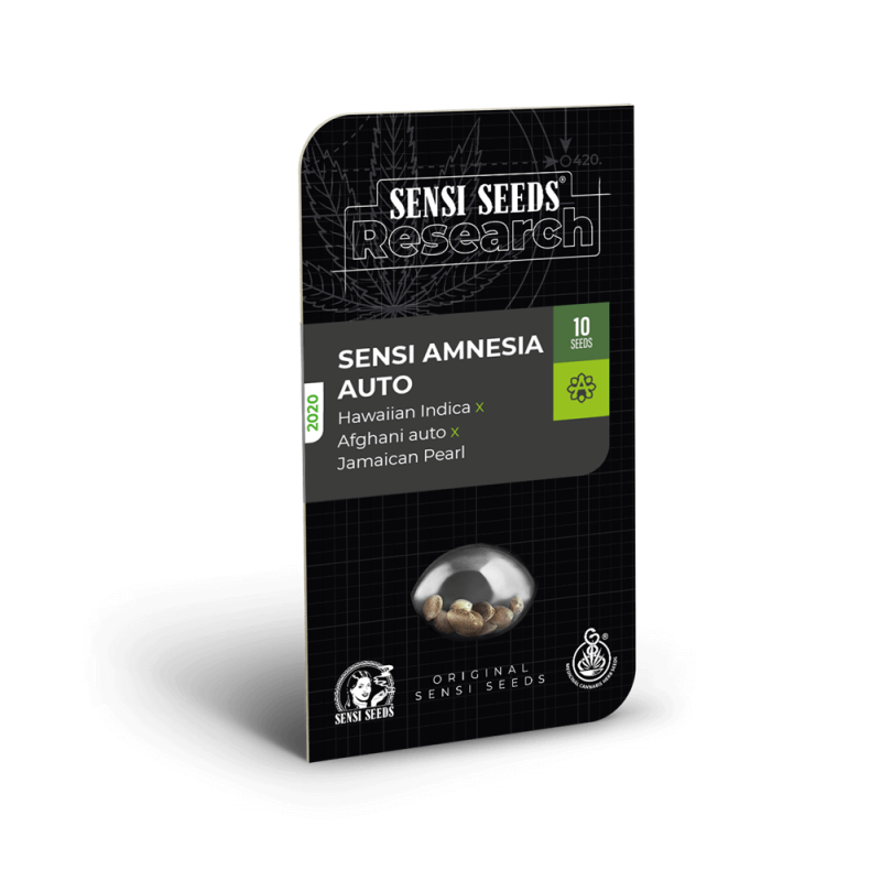 Sensi Amnesia Autofiorente semi Sensi Seeds