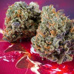 Strawberry Soda Auto