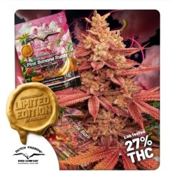 Pink Banana Runtz Ltd Edition