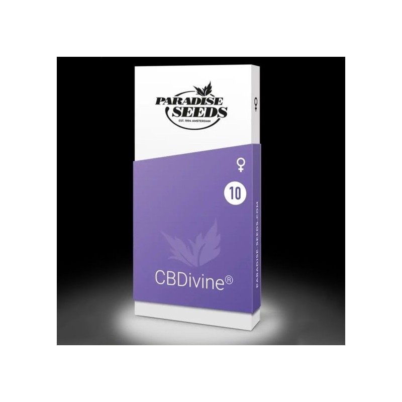 Divine CBD Femminizzata - Paradise Seeds