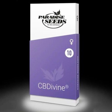 Divine CBD Femminizzata - Paradise Seeds