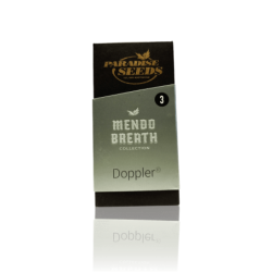 Doppler Femminizzata - Paradise Seeds