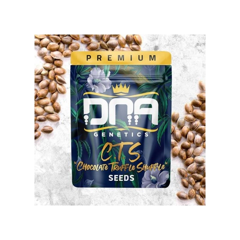 C.T.S. aka Chocolate Truffle Shuffle Regolare - DNA Genetics