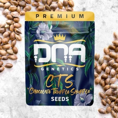 C.T.S. aka Chocolate Truffle Shuffle Regolare - DNA Genetics