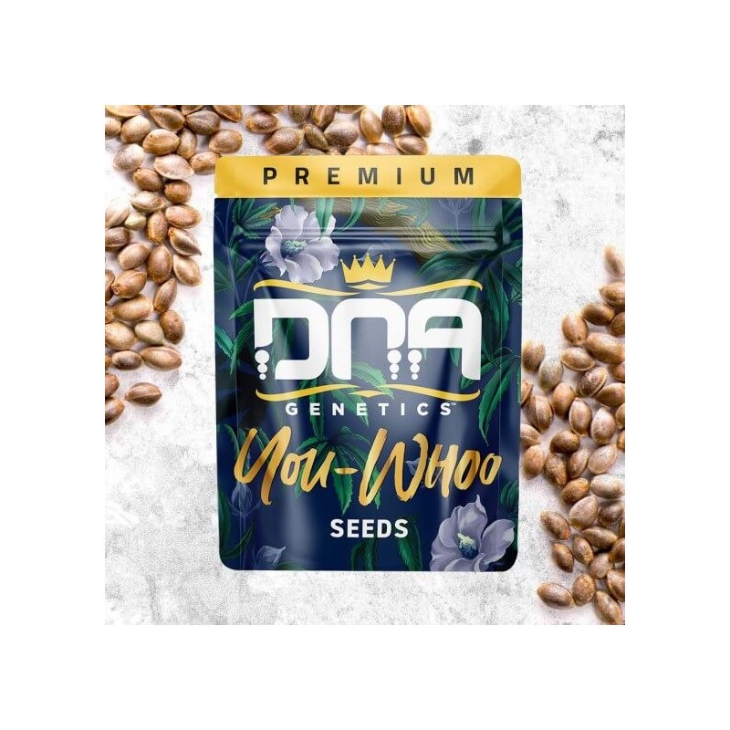 You-Whoo Regolare - DNA Genetics