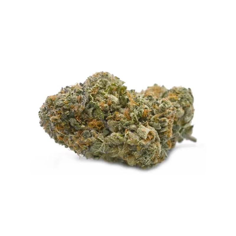 L.A. Confidential Femminizzata - DNA Genetics