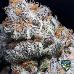 Purple Banana Cream Femminizzata - T.H. Seeds