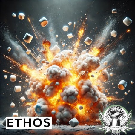 Marshmallow OG Multi-Pack Femminizzata - Ethos Genetics