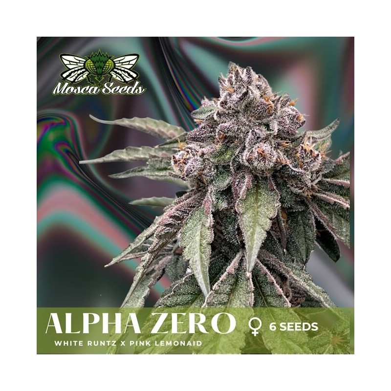 Alpha Zero Femminizzata - Mosca Seeds