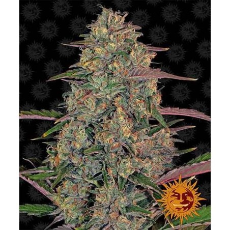 Pineapple Chunk