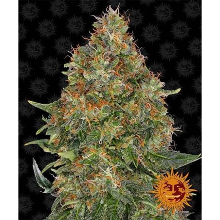Pineapple Express