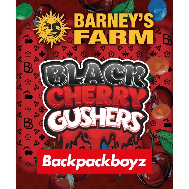 Semi di Cannabis Black Cherry Gushers Femminizzati - Barney's Farm