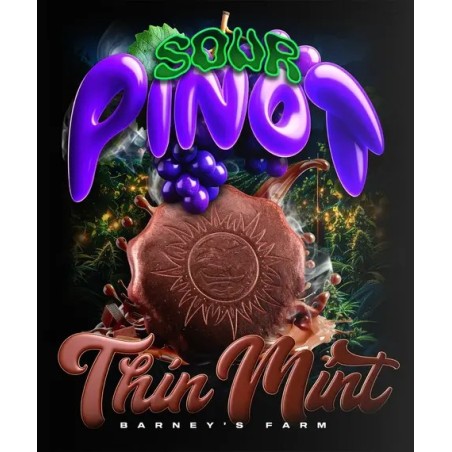 Barney's Farm - Thin Mint X Sour Pinot Auto