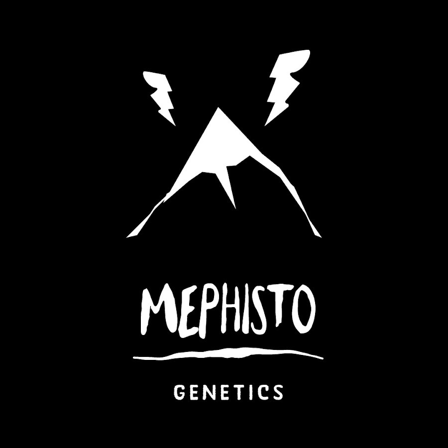 Mephisto Genetics
