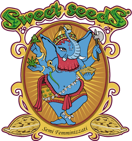 Sweet Seeds
