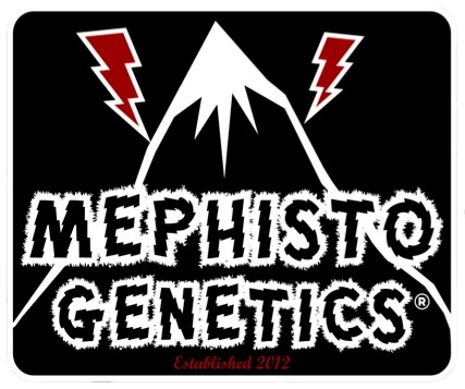 Mephisto Genetics